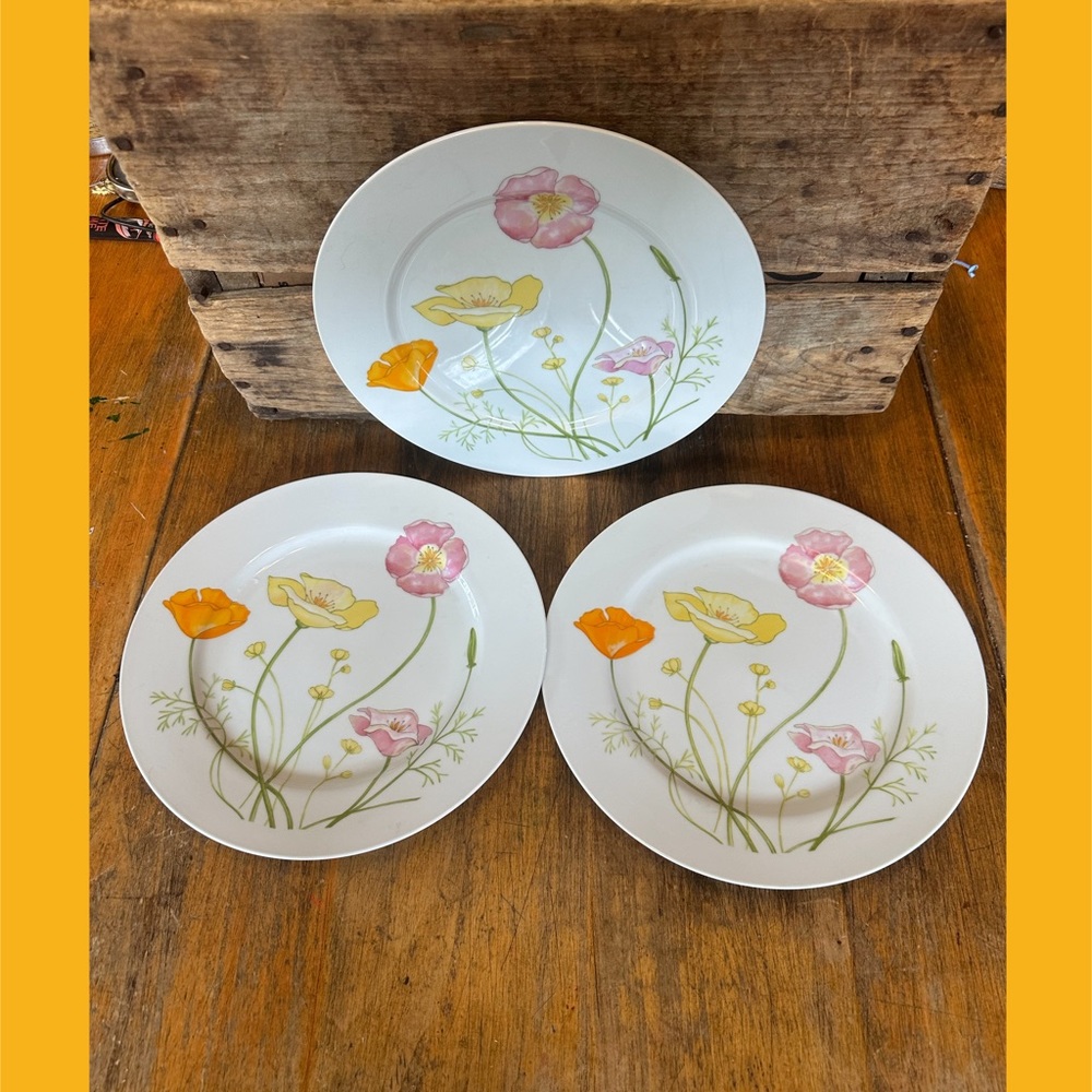 Vintage Jardin Genevieve Dinner Plates 10.5” Set of 3